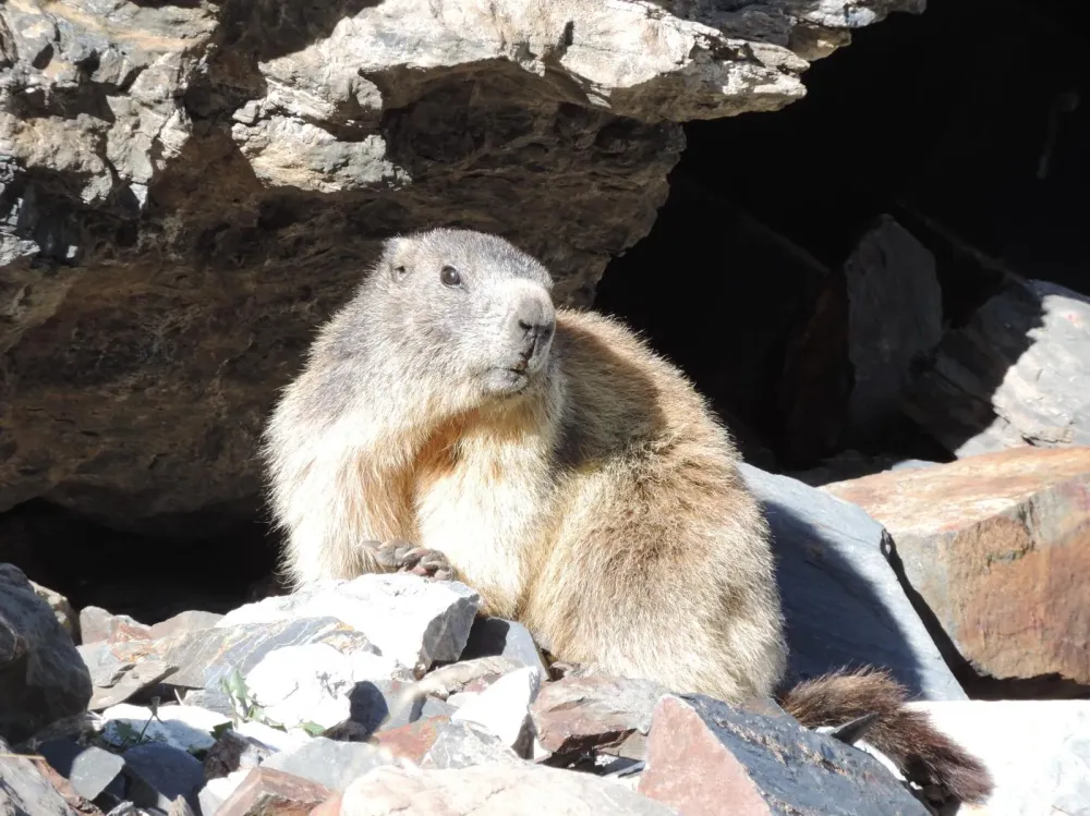 Randonnées dans la Vallée d’Aure