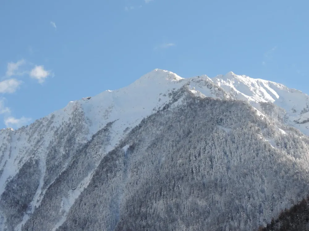 ski (3)